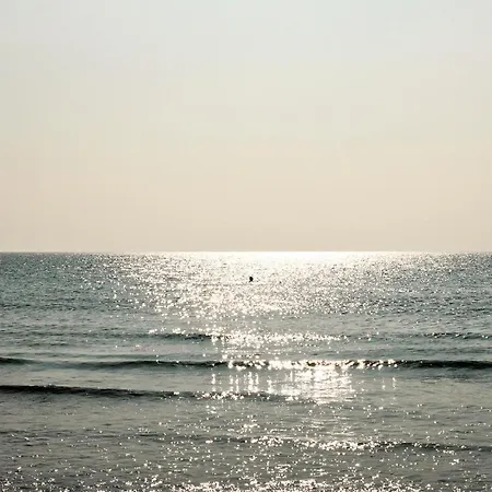Lovely In *